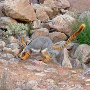 Meet your Posher, Sam